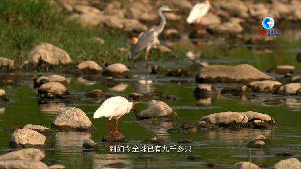 PG试玩