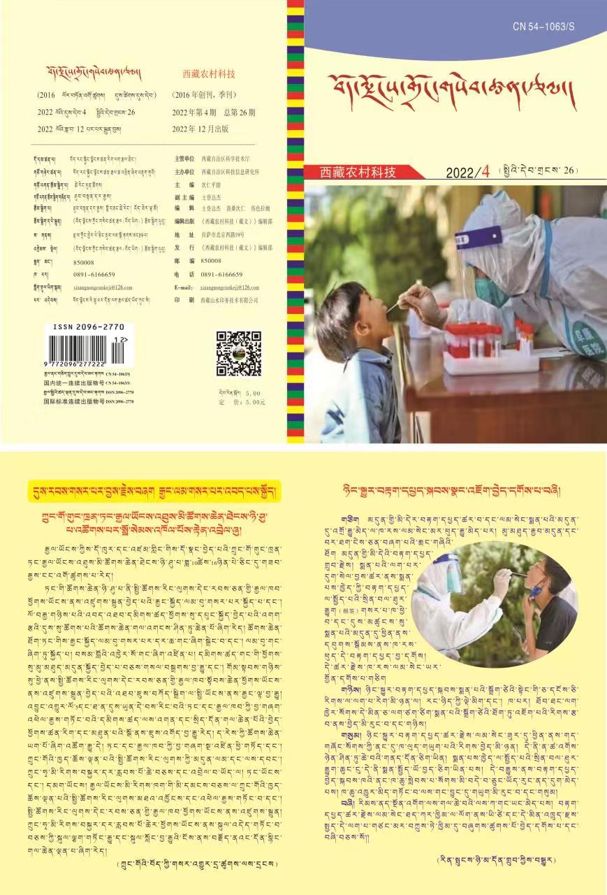 PG试玩